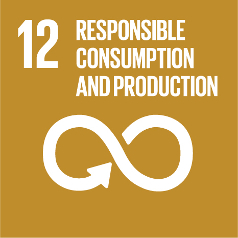 Sustainable Development Goal 12: Responsible Consumption and Production
